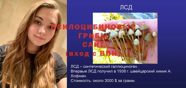 гидропоника Ростов