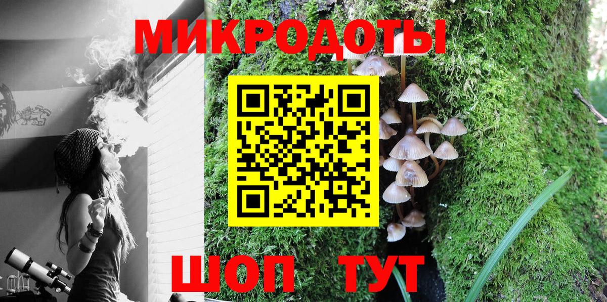 Галлюциногенные грибы Cubensis Котлас