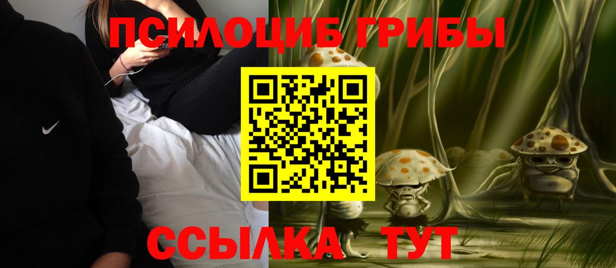 Псилоцибиновые грибы Psilocybe  купить  цена  Котлас  Псилоцибиновые грибы Magic Shrooms  Вход с VPN 